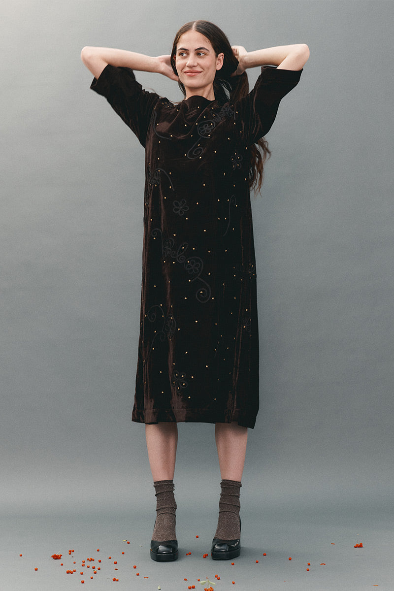 Stieve Velvet Embroidered Dress